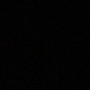 Meet your Posher, Riley